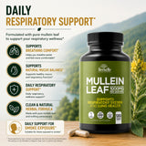 HerbaMe Mullein Leaf Powder lifestyle scene in a kitchen