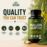HerbaMe Mullein Leaf Powder with a measuring spoon
