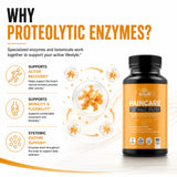 HerbaMe Multi-Enzymes Supplement back view with ingredient list