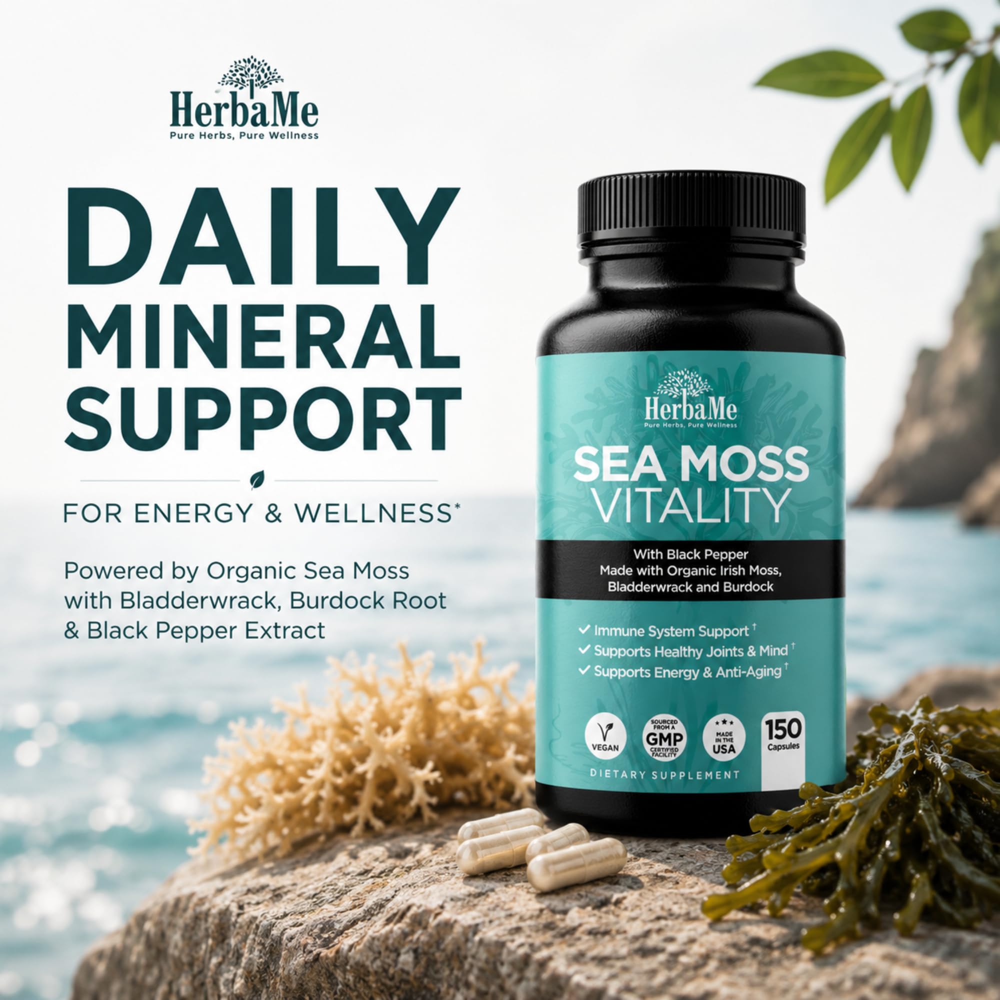 HerbaMe Organic Sea Moss supplement bottle side view