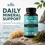 HerbaMe Organic Sea Moss supplement bottle side view