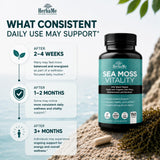 HerbaMe Organic Sea Moss supplement in a lifestyle setting