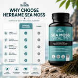 HerbaMe Organic Sea Moss supplement ingredients list