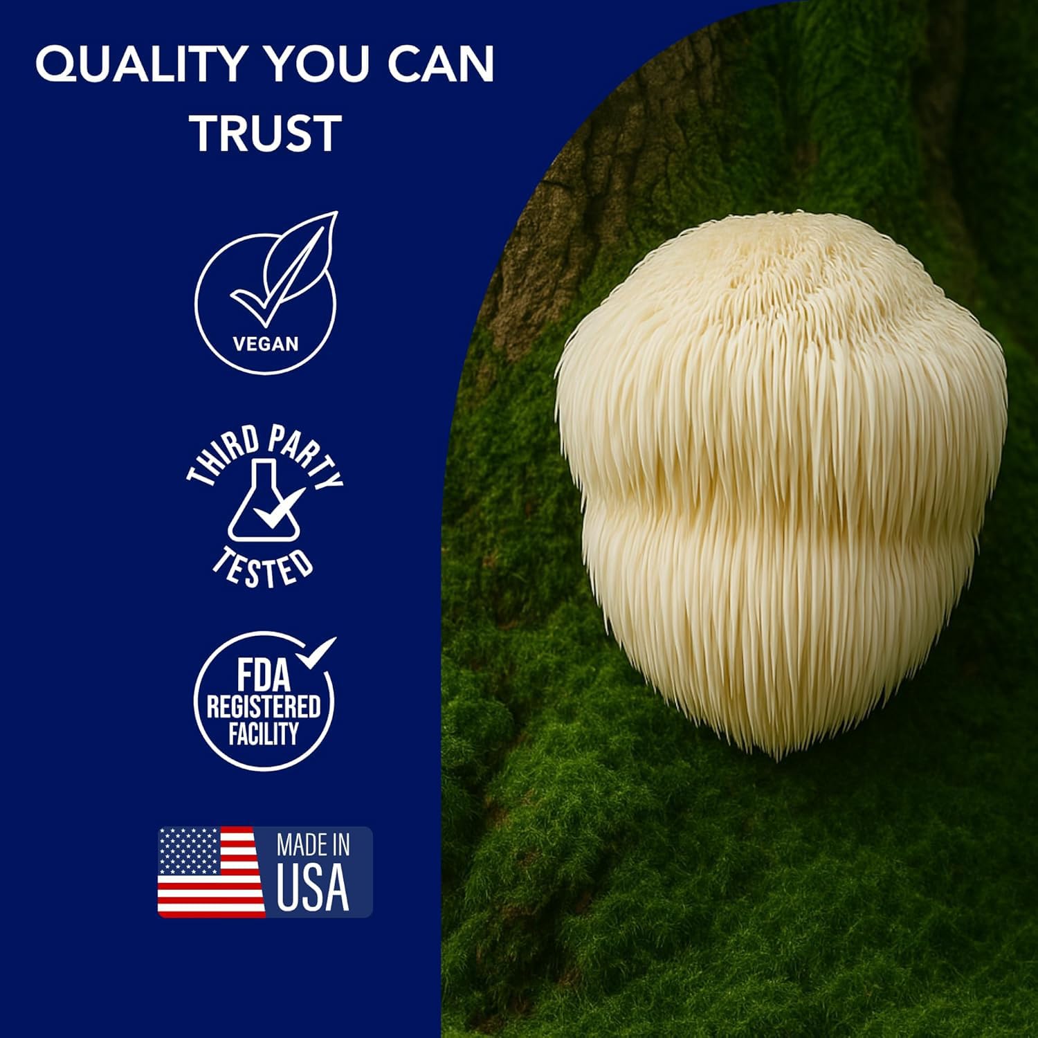 HERBANA MANUFACTURING Lion's Mane Liquid Extract in a glass with water