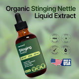 HERBANA MANUFACTURING Nettle Leaf Tincture with water and juice