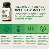 HerbaQuest Cortisol Manager for Women 68g on a wooden table