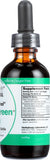Herbasway Original HerbaGreen Tea Concentrate with a hot beverage