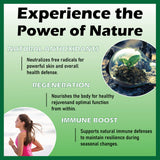 Herbavita 10-in-1 Herbal Blend Liquid Drops with measuring dropper