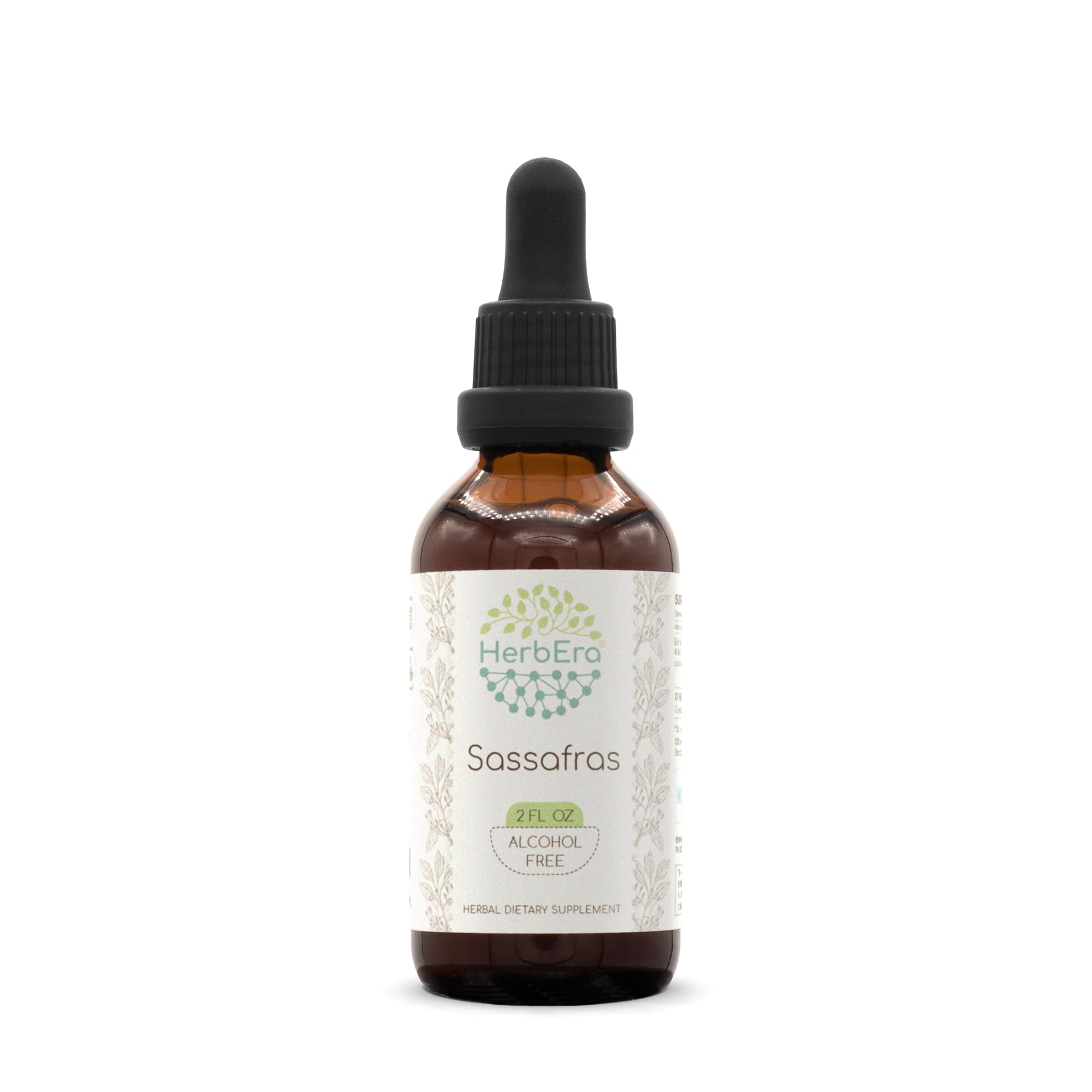 HerbEra Echinacea Liquid Herbal Extract bottle front view