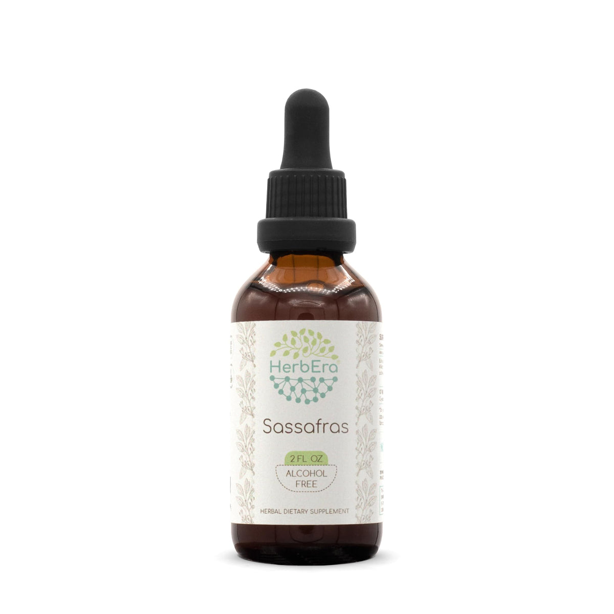 HerbEra Echinacea Liquid Herbal Extract bottle front view