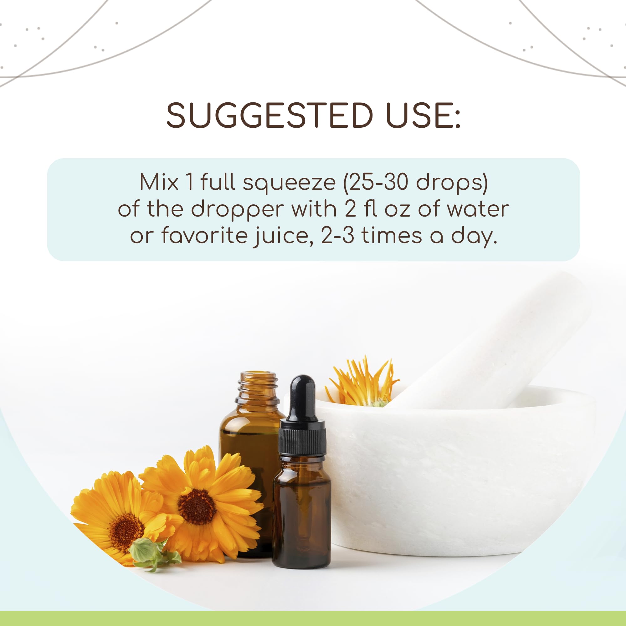 HerbEra Liquid Herbal Extract 113g bottle with dropper