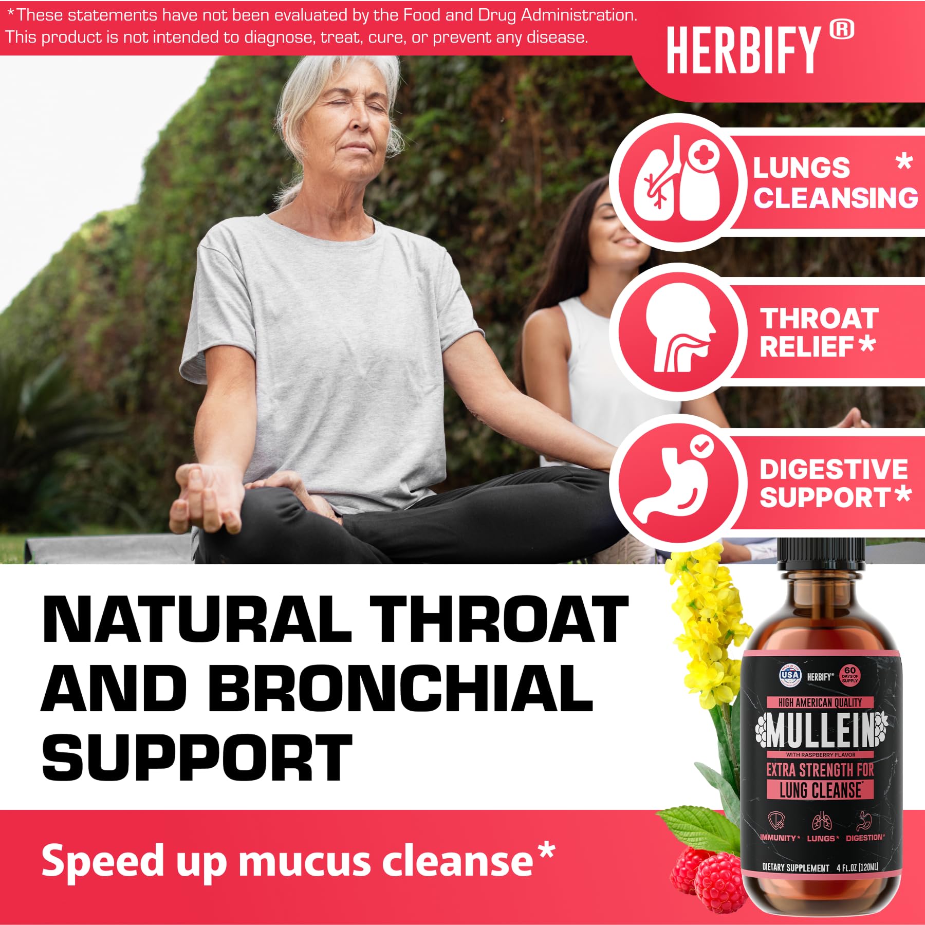 HERBIFY Mullein Leaf Extract Tincture 295g with dropper