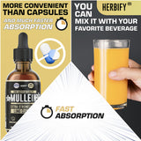 HERBIFY Mullein Leaf Extract Tincture with water glass