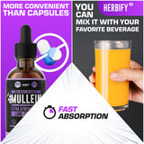 HERBIFY Mullein Tincture 290g lifestyle shot with water