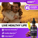 HERBIFY Mullein Tincture 290g with measuring dropper