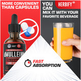 HERBIFY Mullein Tincture 299g with measuring dropper
