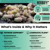 HERBIFY Sea Moss Liquid Drops 168g bottle with ingredients