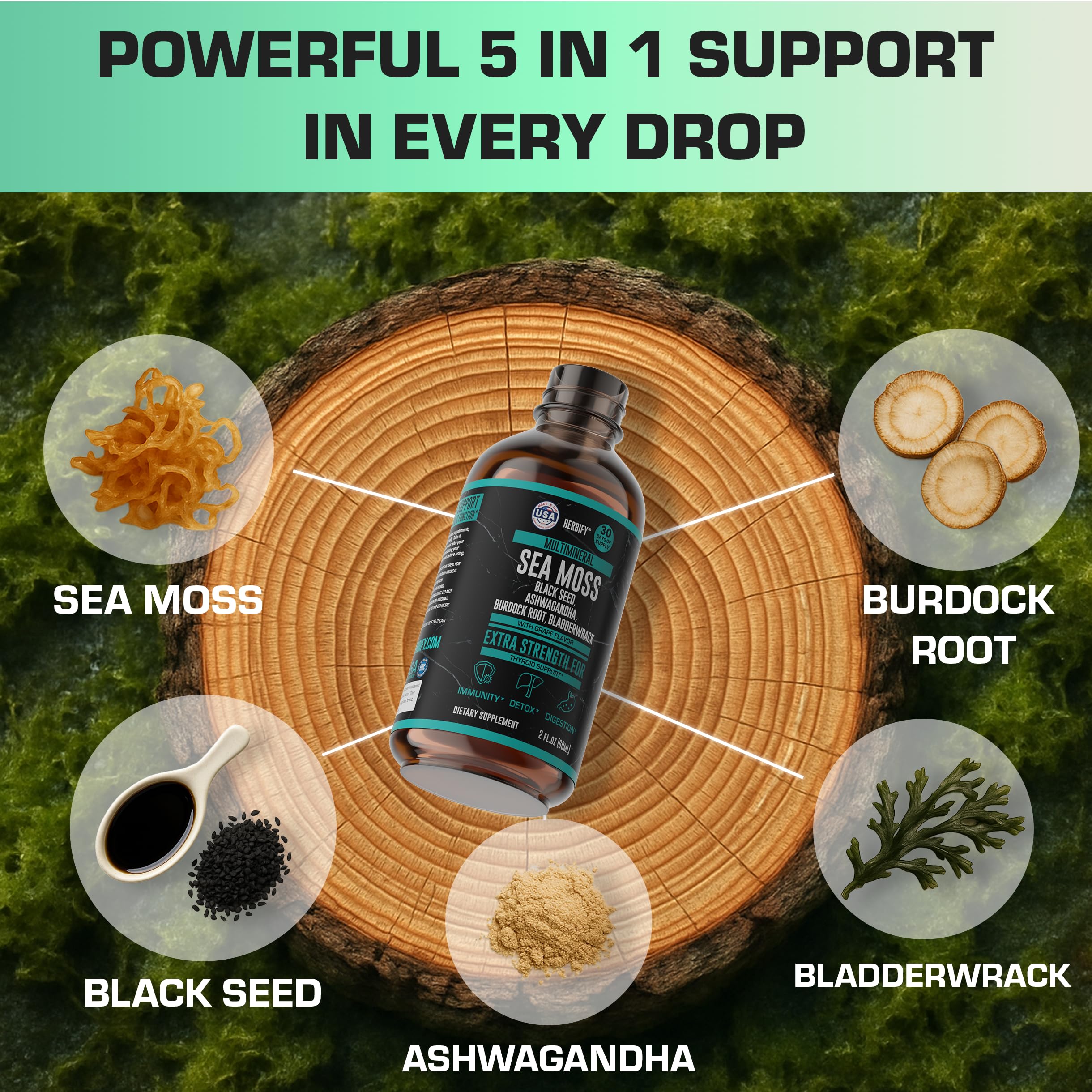 HERBIFY Sea Moss Liquid Drops 168g lifestyle scene