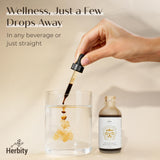 Herbity Focus & Energy Mushroom Extract Tincture with herbs