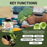 Herbovella Sulforaphane Gummies with lemon flavour description