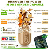 Herbpy Ginger Root Extract 5-in-1 Vegan Capsules dark jar packaging
