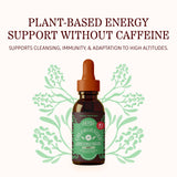 Herbs Etc. ChlorOxygen Chlorophyll Concentrate 132g back view with ingredients