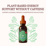 Herbs Etc. ChlorOxygen Chlorophyll Concentrate 132g bottle side view