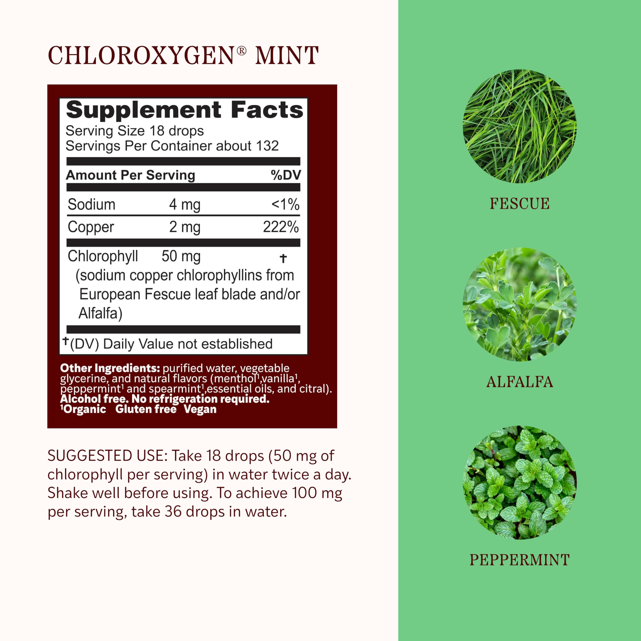 Herbs Etc. ChlorOxygen Chlorophyll Concentrate 132g side view
