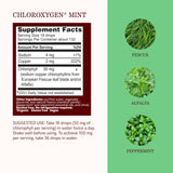 Herbs Etc. ChlorOxygen Chlorophyll Concentrate 132g side view