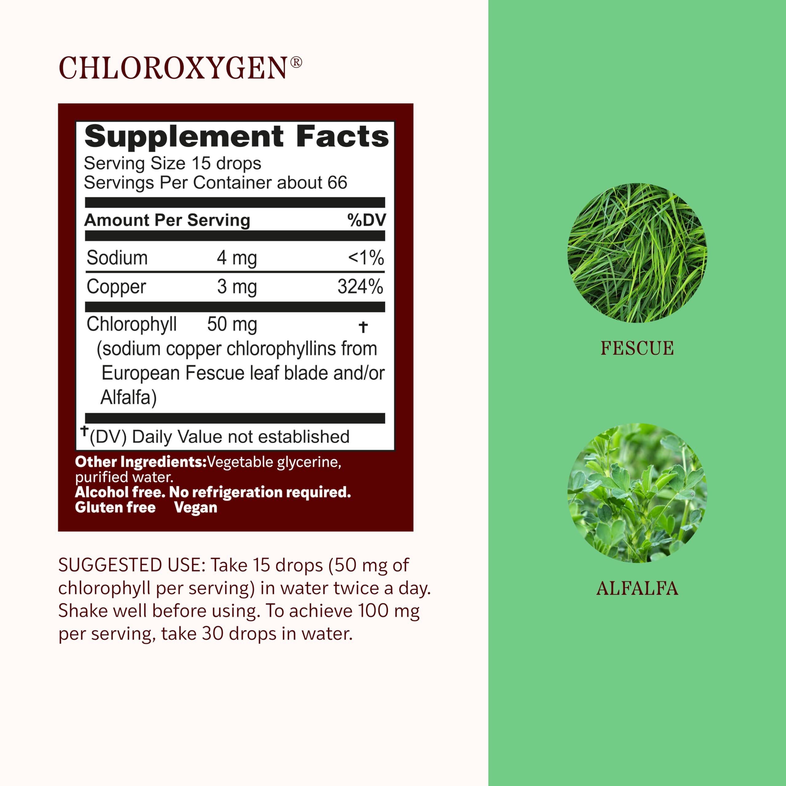 Herbs Etc. ChlorOxygen Chlorophyll Concentrate 50mg liquid dropper