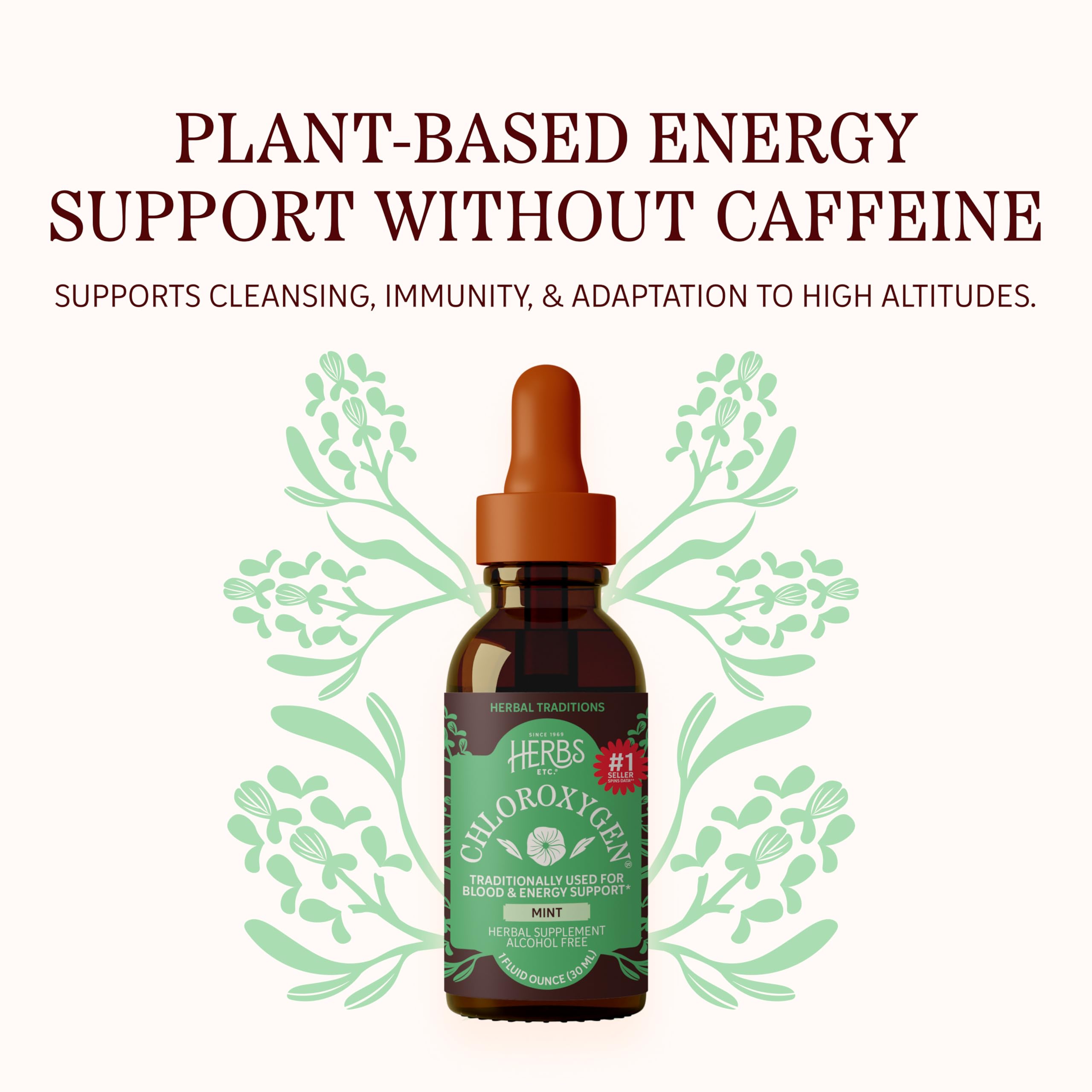 Herbs Etc. ChlorOxygen Chlorophyll Concentrate Mint 27g bottle with label