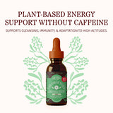 Herbs Etc. ChlorOxygen Chlorophyll Concentrate Mint 27g bottle with label