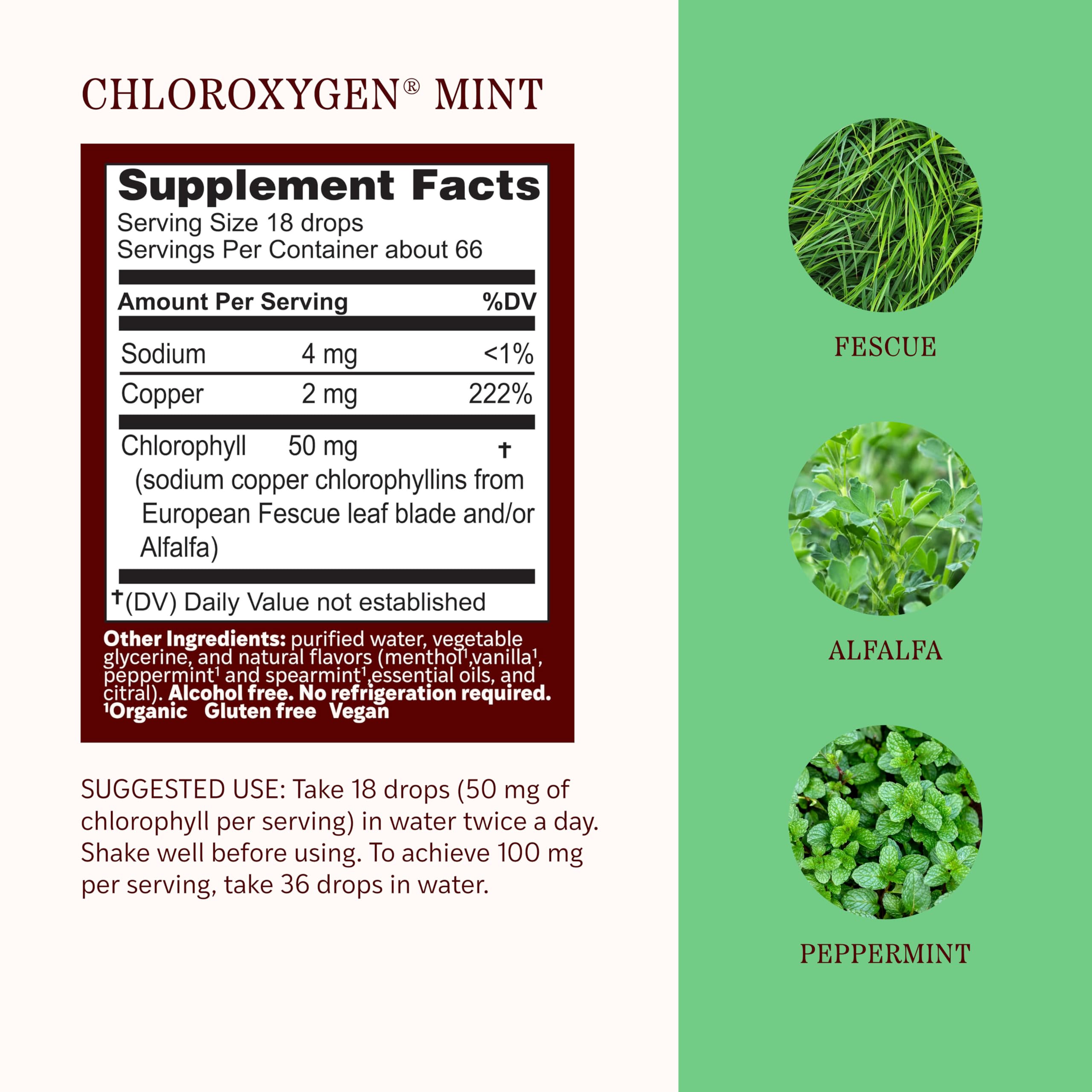 Herbs Etc. ChlorOxygen Chlorophyll Concentrate Mint 27g drops in water