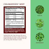 Herbs Etc. ChlorOxygen Chlorophyll Concentrate Mint 27g drops in water
