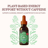 Herbs Etc. ChlorOxygen Chlorophyll Concentrate Mint Liquid bottle side view