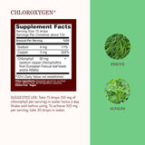 Herbs Etc. ChlorOxygen Chlorophyll Concentrate Mint Liquid packaging details