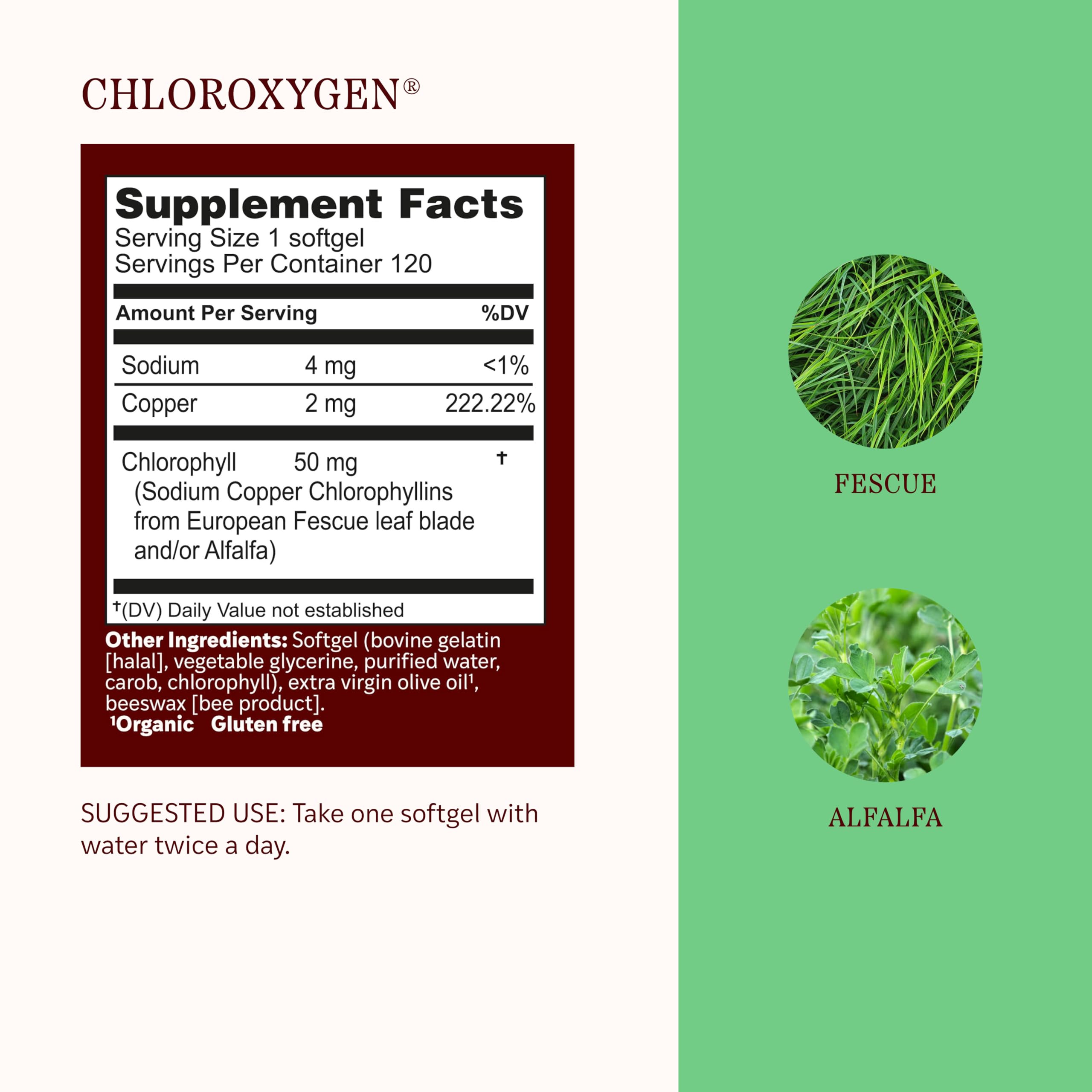 Herbs Etc. ChlorOxygen Chlorophyll Softgels back view with ingredient list