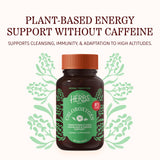 Herbs Etc. ChlorOxygen Chlorophyll Softgels packaging
