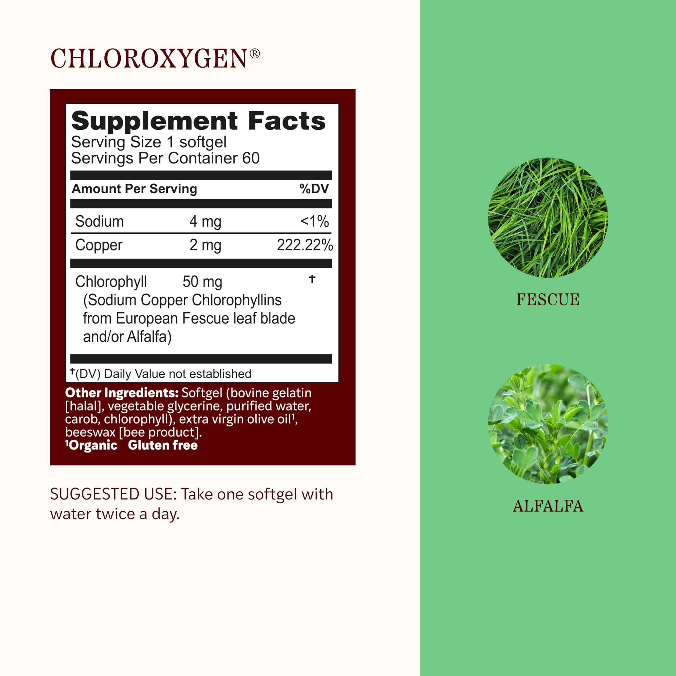 Herbs Etc. ChlorOxygen Chlorophyll Softgels side view