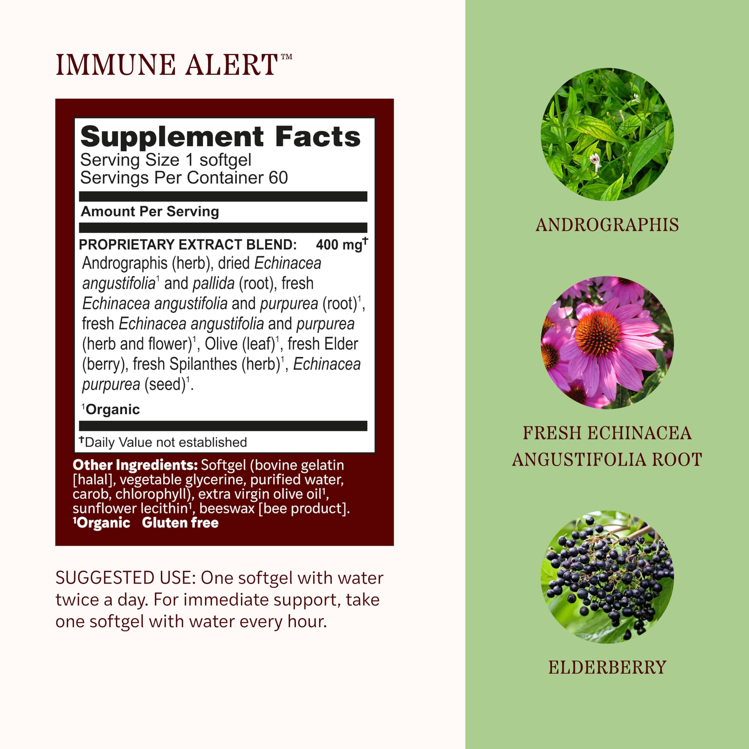 Herbs Etc. daily wellness Alert Softgels with Echinacea and Andrographis ingredients list