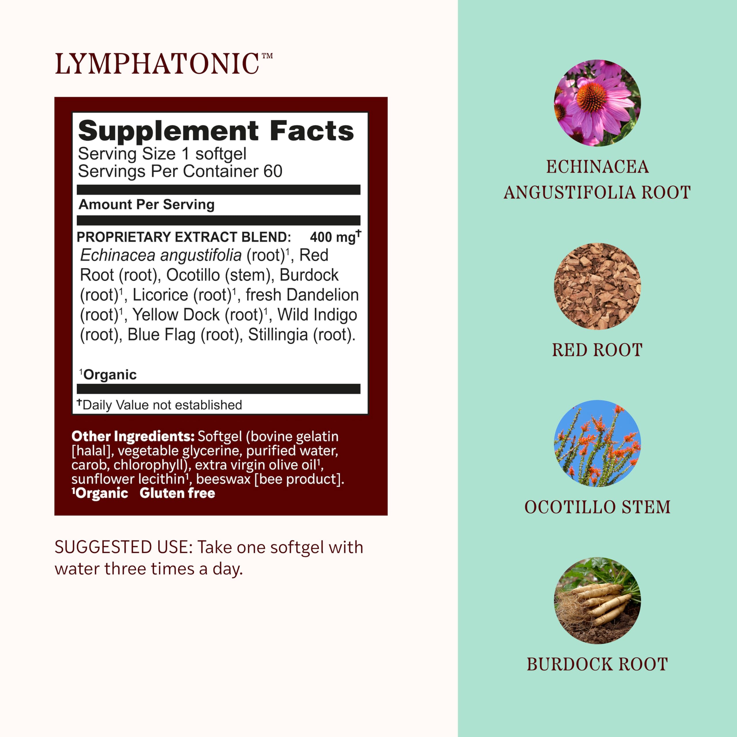 Herbs Etc. Lymphatonic Softgels ingredients list