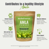 Herbsforever Amla Powder 230g in a kitchen setting