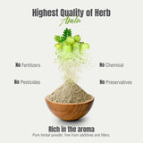 Herbsforever Amla Powder 230g with a bowl of smoothie
