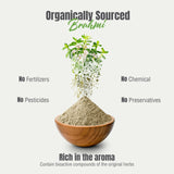 Herbsforever Bacopa Monnieri 259g in a cup of tea