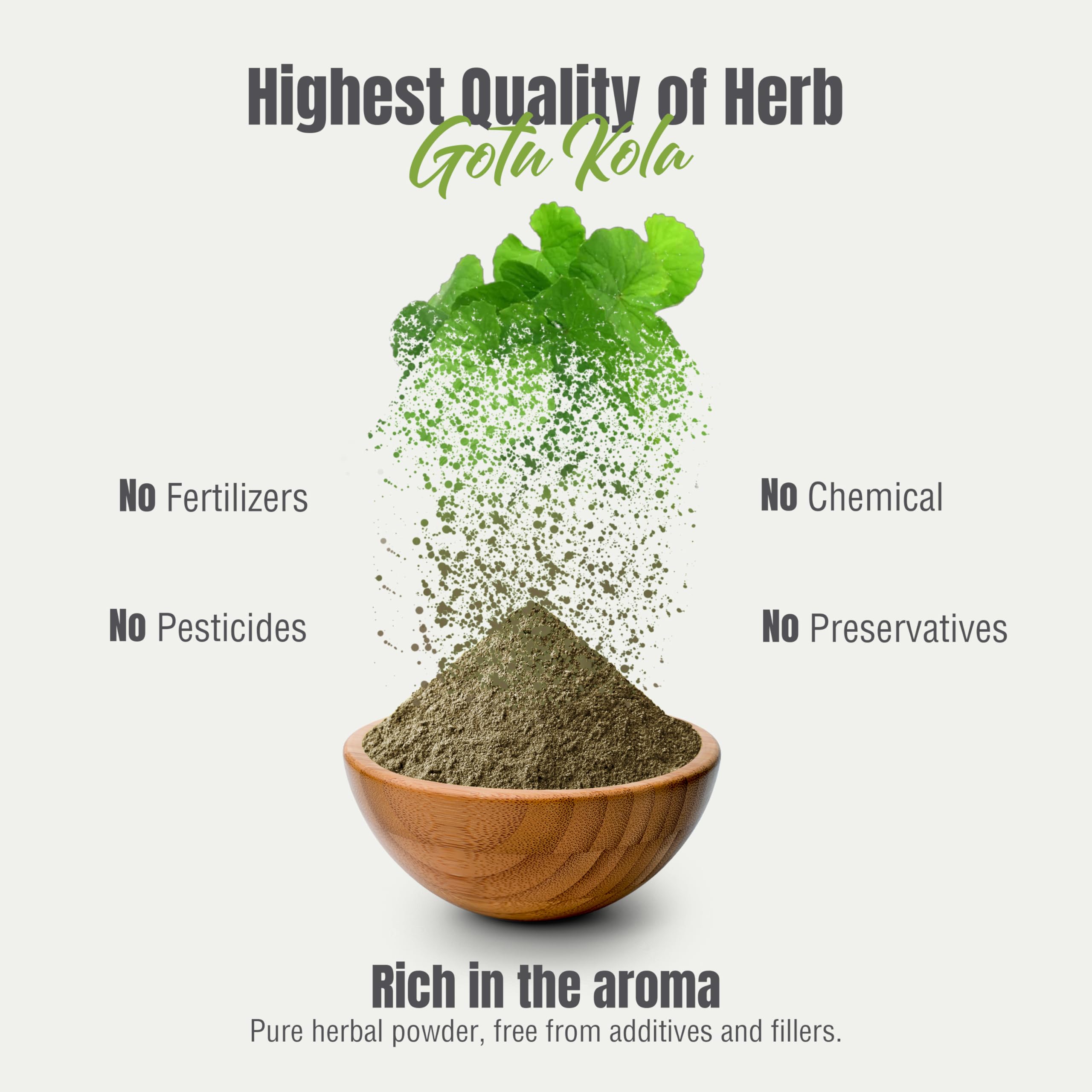 Herbsforever Gotu Kola Powder in herbal tea