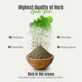 Herbsforever Gotu Kola Powder in herbal tea