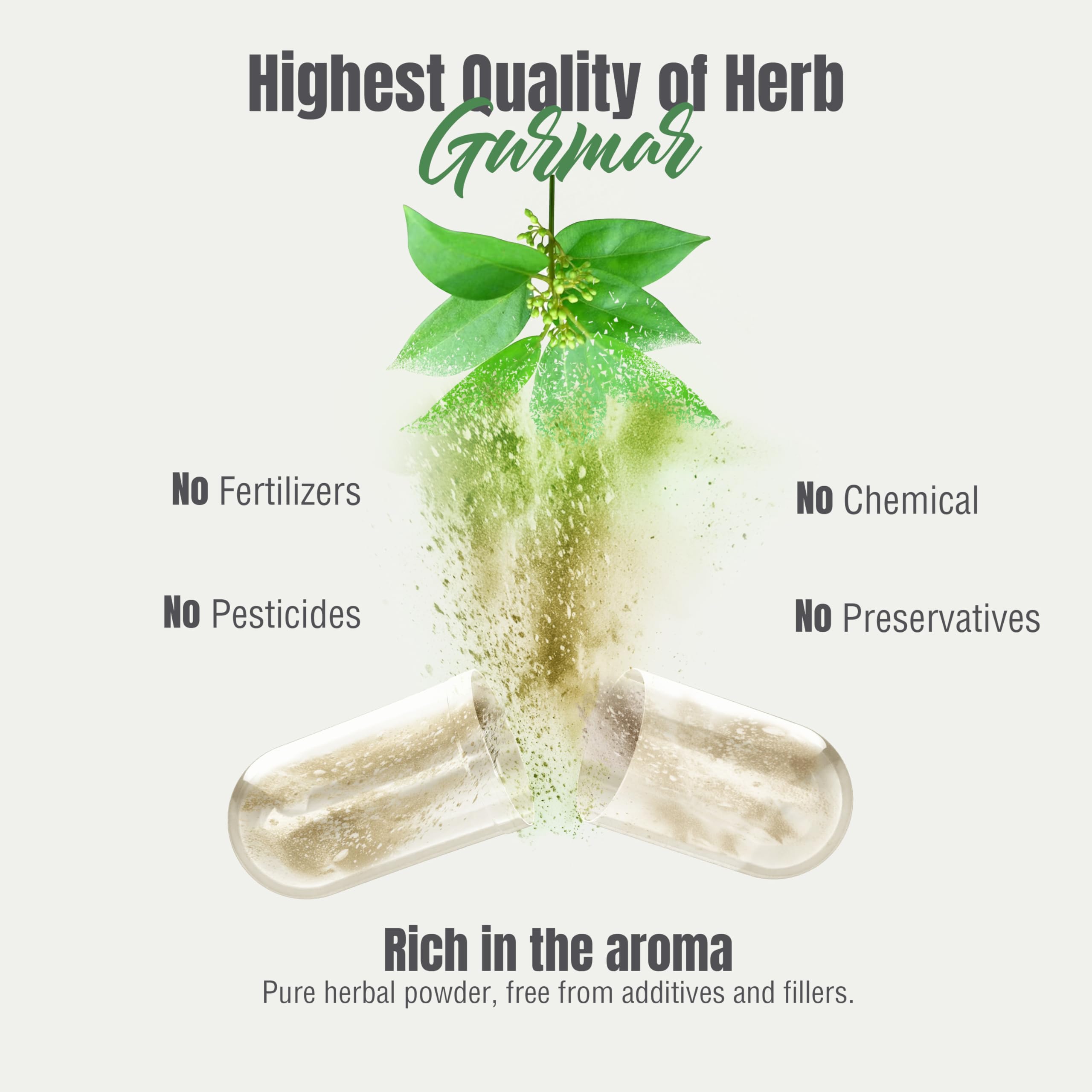 Herbsforever Gurmar Capsules in a lifestyle setting with plants