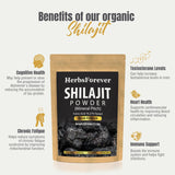 Herbsforever Shilajit Purified Resin 259g packaging