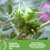 Herbsforever Tribulus Terrestris Extract 750mg bottle back view