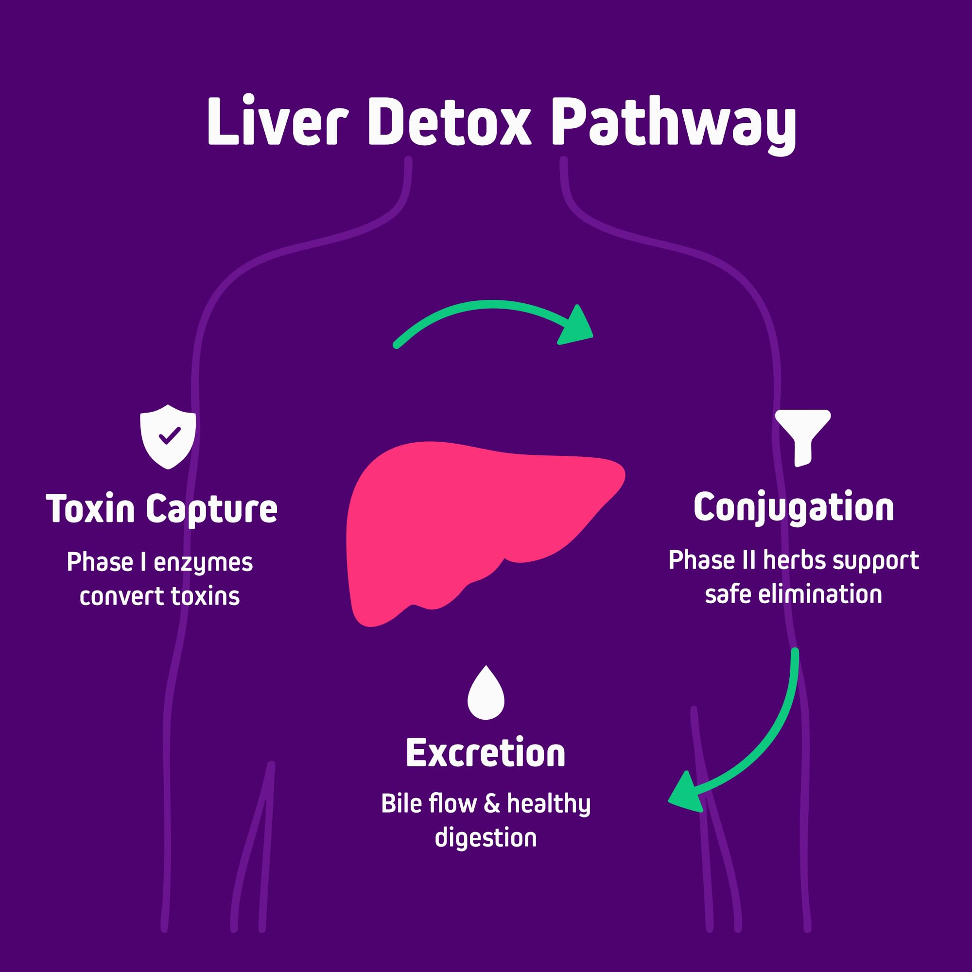 Herbtonics Milk Thistle 20-in-1 Liver Support Supplement ingredients list